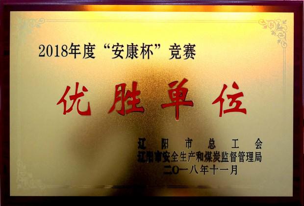 彩神vll官网集团荣获“2018年度安康杯竞赛优胜单位”