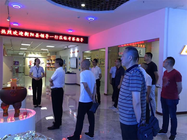 湖南省衡阳县常务副县长王苏龙一行莅临彩神vll官网集团考察财路大数据项目