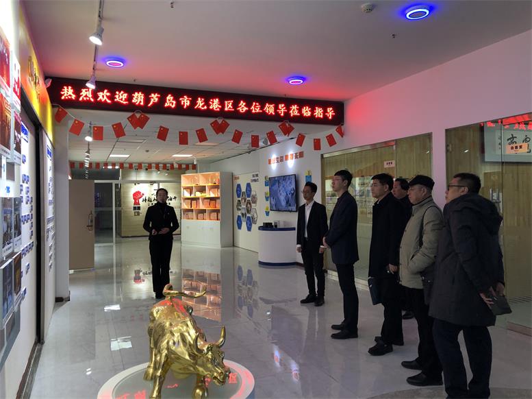 辽宁省葫芦岛市龙岗区常务副区长付国一行莅临彩神vll官网集团考察财路大数据项目